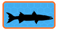 Damnation Stopthemadness GIF by Vision Fly Fishing