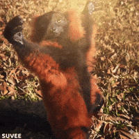 Sun Bathing GIF