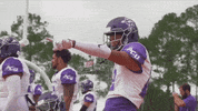Go Wildcats GIF by ACU Football