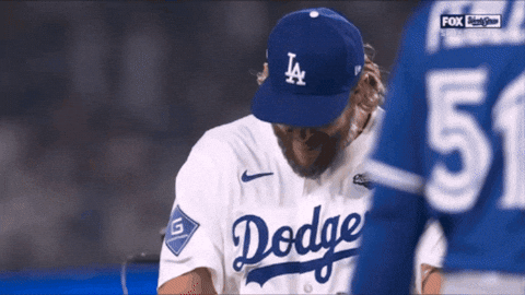 Los Angeles Dodgers Baseball GIF by MLB
