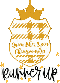 Qsda Sticker