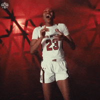 College Basketball Sport GIF by NCAA March Madness