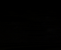 New Haven Fire GIF by District Dave