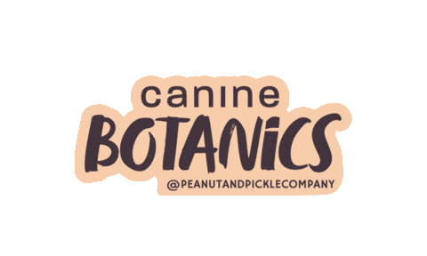 Dog Shampoo Sticker by Peanut and Pickle