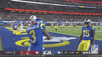 Los Angeles Rams Football GIF by NFL