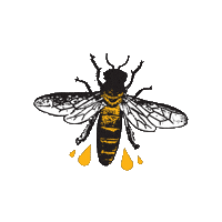 Bee Sticker by TheCaliforniaHoneyDrops