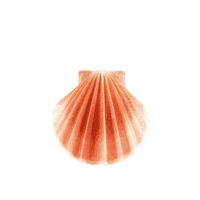 Scallopfest Sticker by ZumaVl