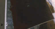Soniabenammar Breakingthings GIF by SONIA