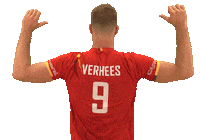 Fun Celebrate Sticker by TopVolleyBelgium