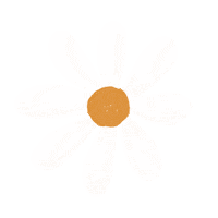 franeco_ daisy flor papelaria loja virtual Sticker