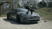 Apex Predator GIF by FullMag