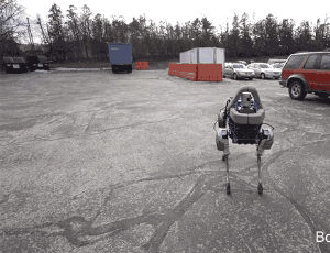 dog kind GIF