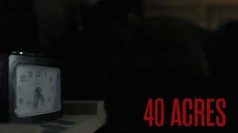 Wake Up Morning GIF by Magnolia Pictures