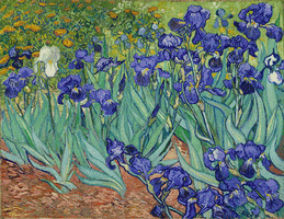 cameronartmuseum  GIF