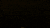 Green Bay Packers Text Back GIF by Martellus Bennett's Text Back Pack