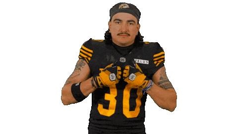 Tiger-Cats Ticats Sticker by Hamilton Sports Group