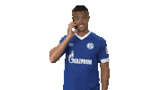 football soccer Sticker by Bundesliga