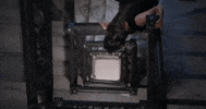 Singer-Songwriter Pop GIF by Ashley Kutcher