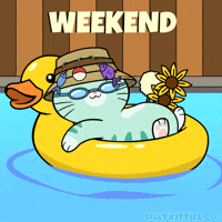 Relaxing Summer Time GIF by Silly Kitties