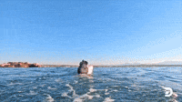 Thando's Third Breach