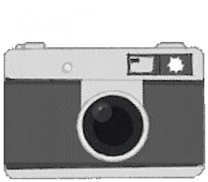 onigiri_salmo giphyupload photo camera snap Sticker