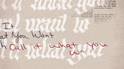 call it what you want GIF by Taylor Swift