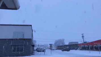Early Morning Snow Band Hits Missoula, Montana