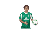 Yuya Osako Japan Sticker by SV Werder Bremen