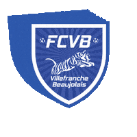 Football Club Sticker by FCVB