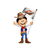 Carnival Rodeo Sticker by Rcsfun