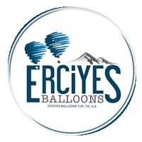 Balloon Sticker by Flower Balloons TR - Birlikte uçalım