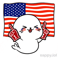 I Believe That We Will Win Lets Go GIF by Sappy Seals