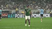 el tri mexico GIF by MiSelecciónMX