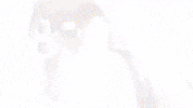 Loop Nom GIF by Malcolm France