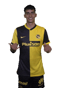 Wave Hang Loose Sticker by BSC Young Boys