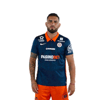 Dz Raler Sticker by MHSC
