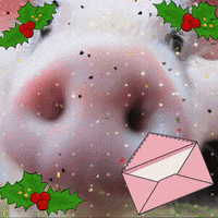 Merry Christmas GIF by TeaCosyFolk