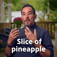 Slice of pineapple
