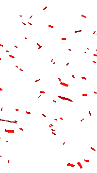 Carnaval Confetti Sticker by B on Stage