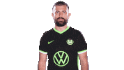 Admir Mehmedi Hello Sticker by VfL Wolfsburg