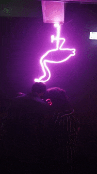 Party Fun GIF by RGB Disco