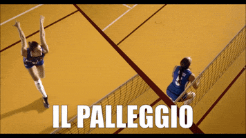 Customvolley volleyball italia volley pallavolo GIF