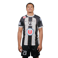Angerssco Sticker by Angersscohandball