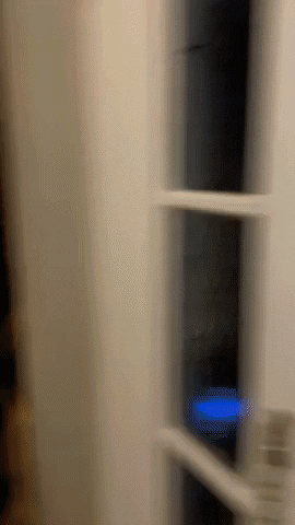 handbone giphyupload GIF