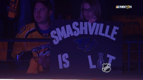 ice hockey GIF by NHL