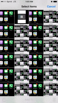 Platos Cave Bryan Unger GIF by bryan