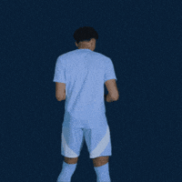 Major League Soccer Football GIF by Sporting KC