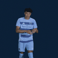 Major League Soccer Football GIF by Sporting KC
