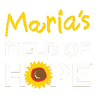 Hope Sunflower Sticker by Prayers From Maria Foundation