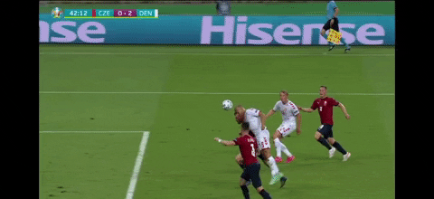 petahouse  GIF